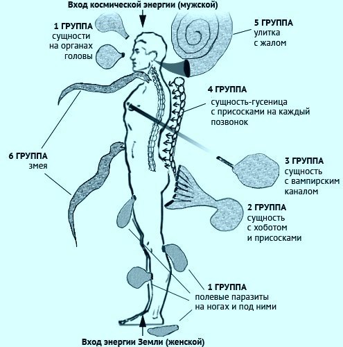 Избавится от сущностей самостоятельно. Лярвы энергетические паразиты. Лярвы сущности подселенцы. Сущность человека. Астральные сущности и паразиты.