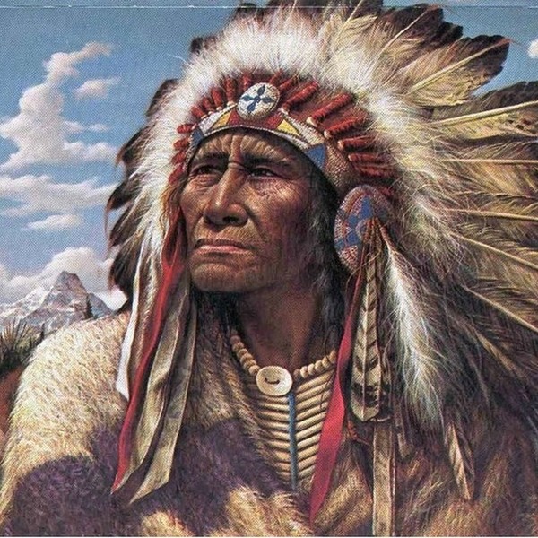 Индейцы северной Америки